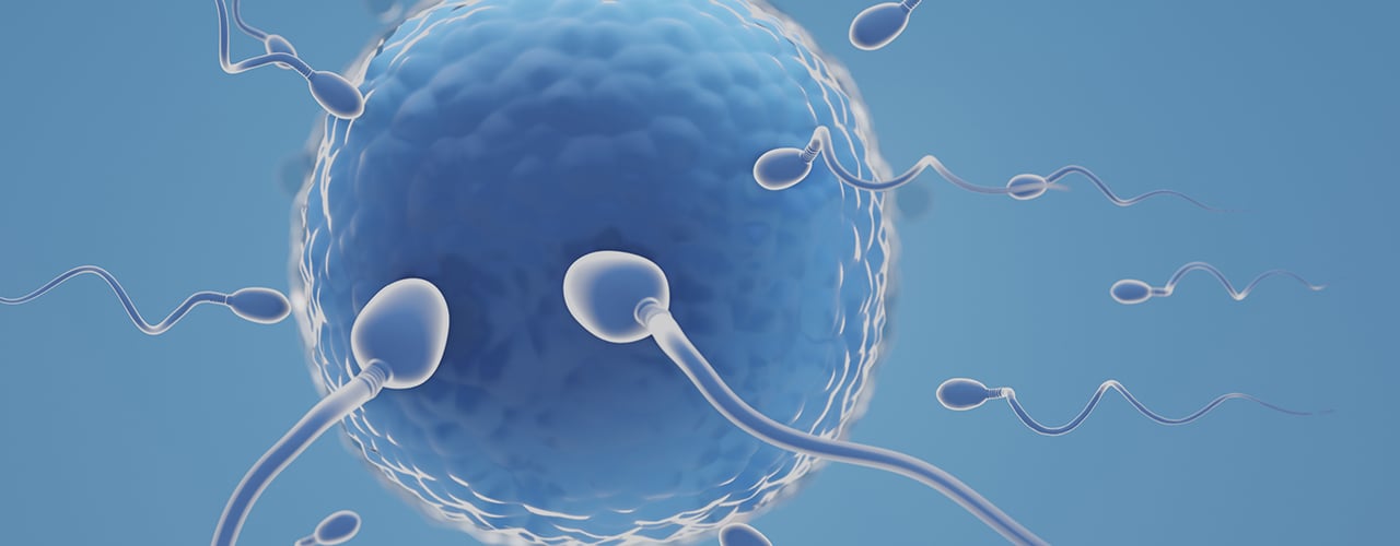 Intracytoplasmic Sperm Injection (ICSI)