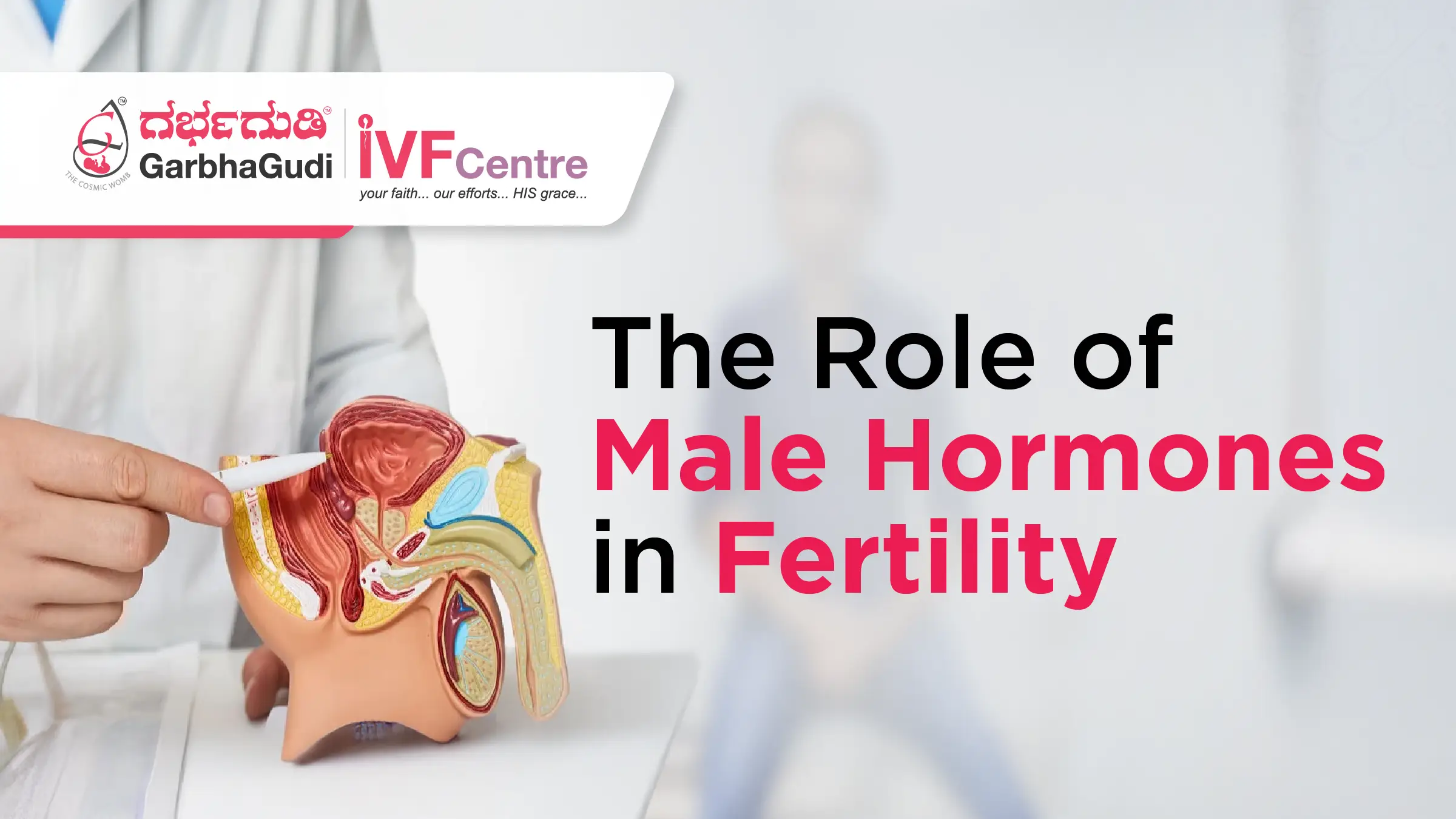 Understanding the Role of Male Hormones in Fertility: How Testosterone Affects Reproductive Health