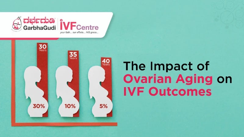The Impact of Ovarian Aging on IVF Outcomes