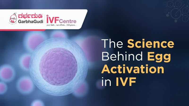 The Science Behind Egg Activation in IVF