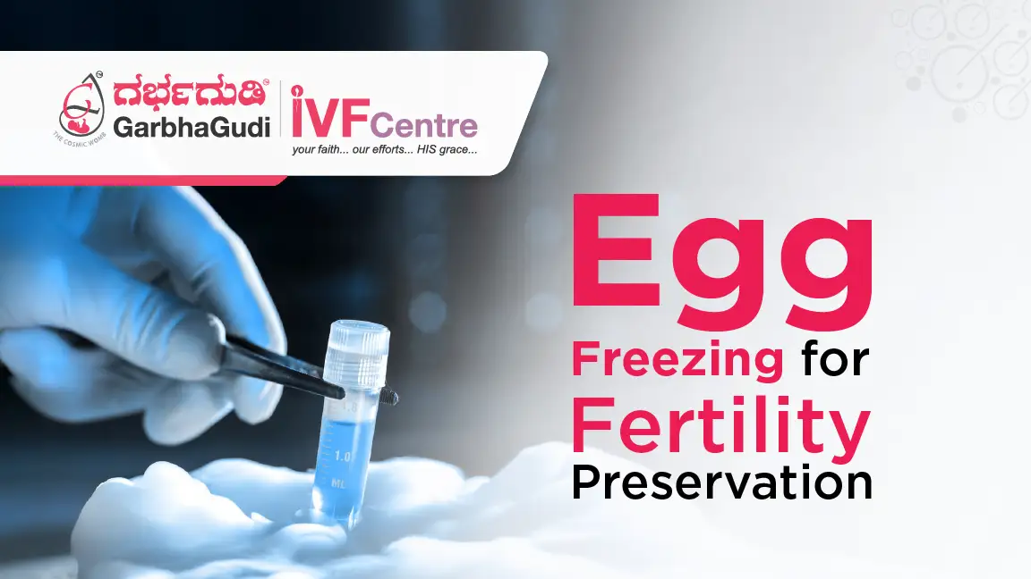  What You Should Know About Egg Freezing for Future Fertility Preservation