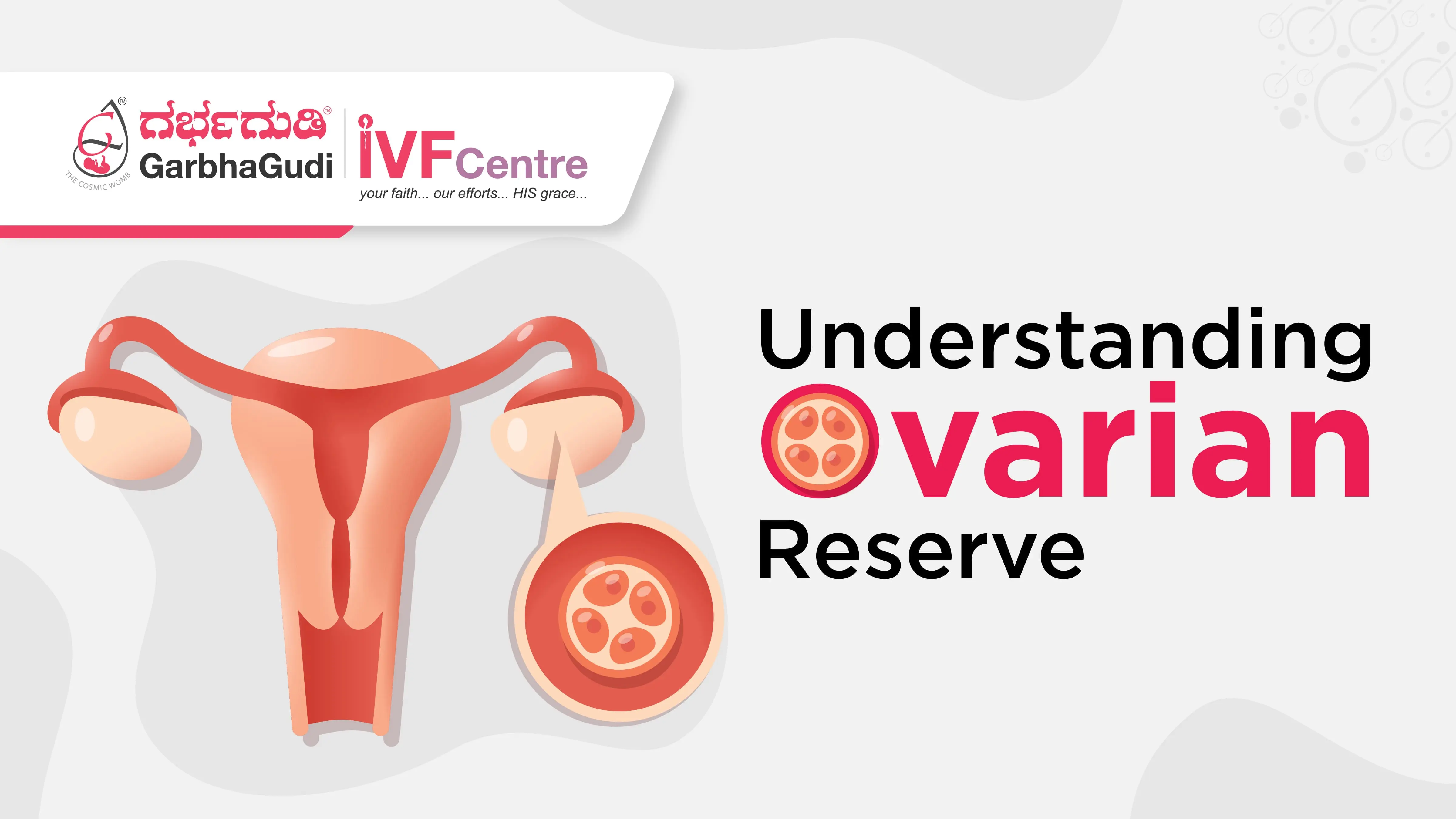Understanding Ovarian Reserve: Why It Matters for IVF