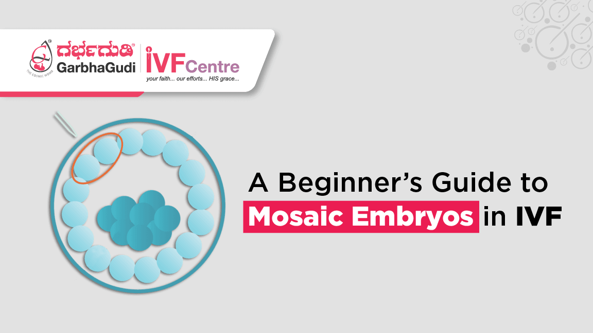Mosaic Embryos in IVF: Everything You Need to Know