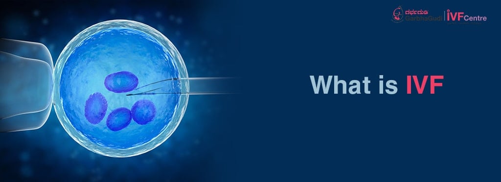 What is IVF? Comprehensive Guide to In Vitro Fertilization