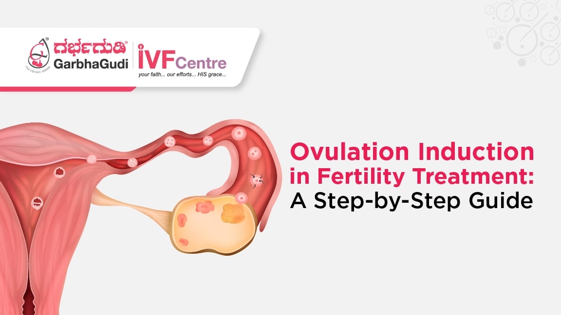 The Role of Ovulation Induction in Fertility Treatment: A Step-by-Step Guide