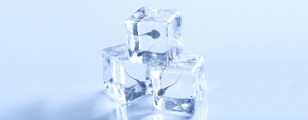 Semen Freezing