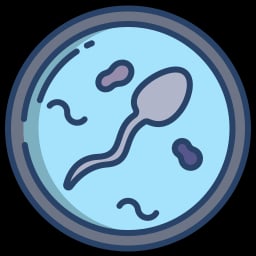 Blastocyst Culture