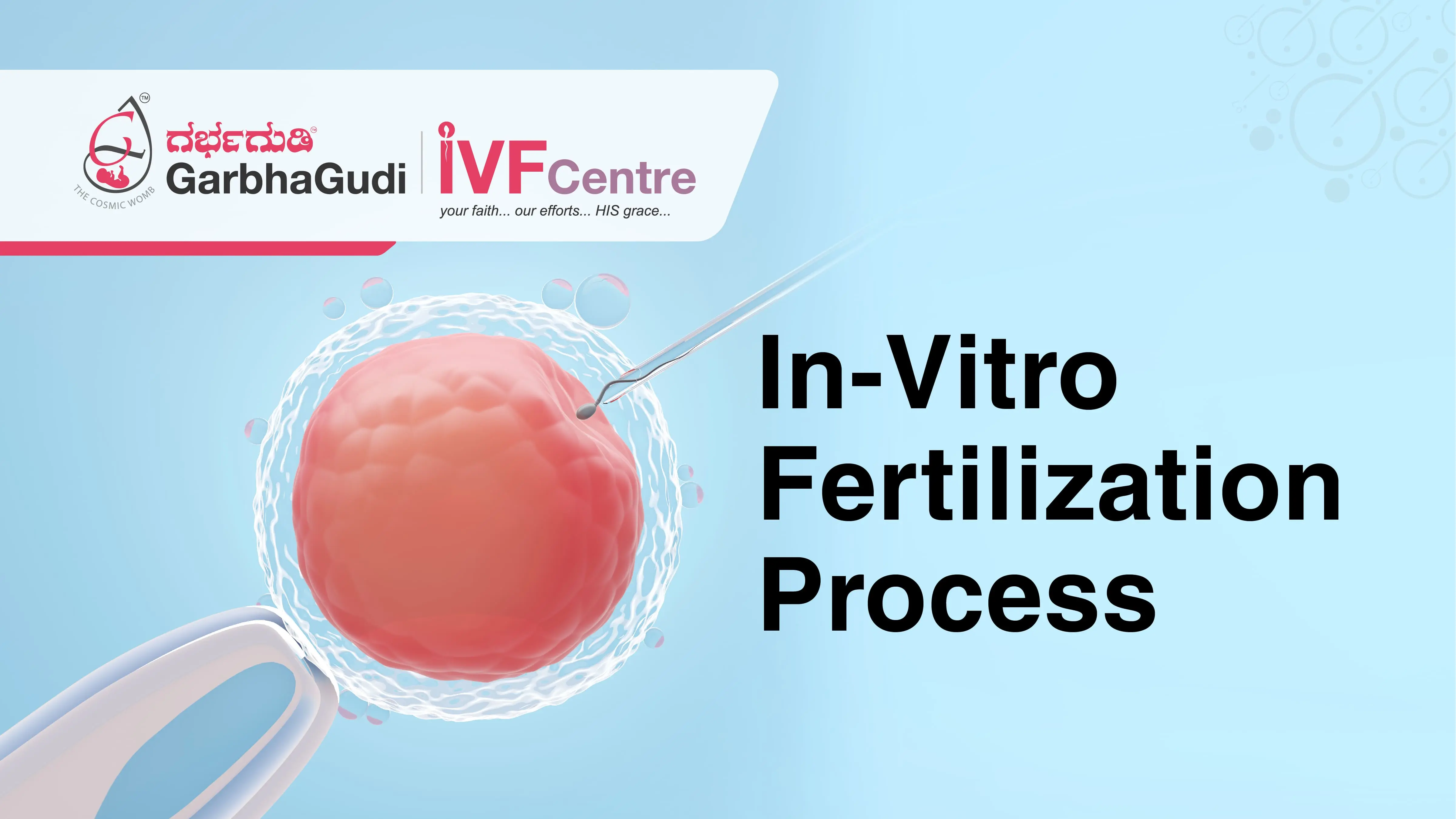 The In-Vitro Fertilization Process