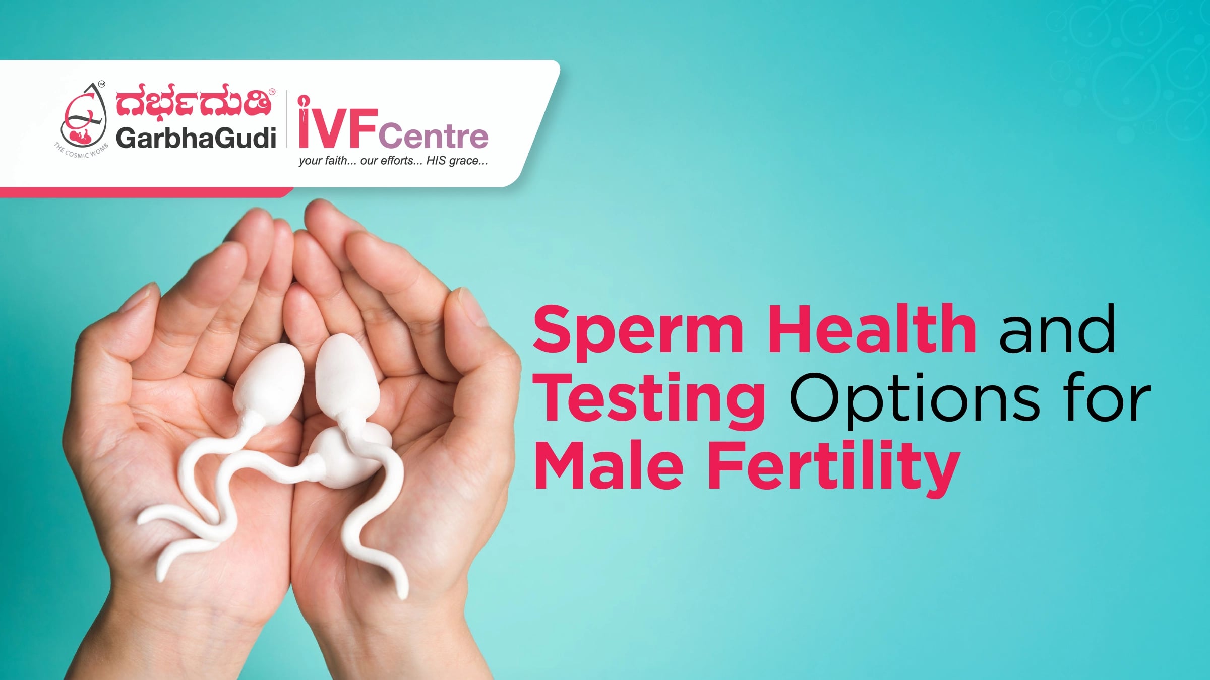 Fertility Tests for Men: What Every Man Should Know About Sperm Health