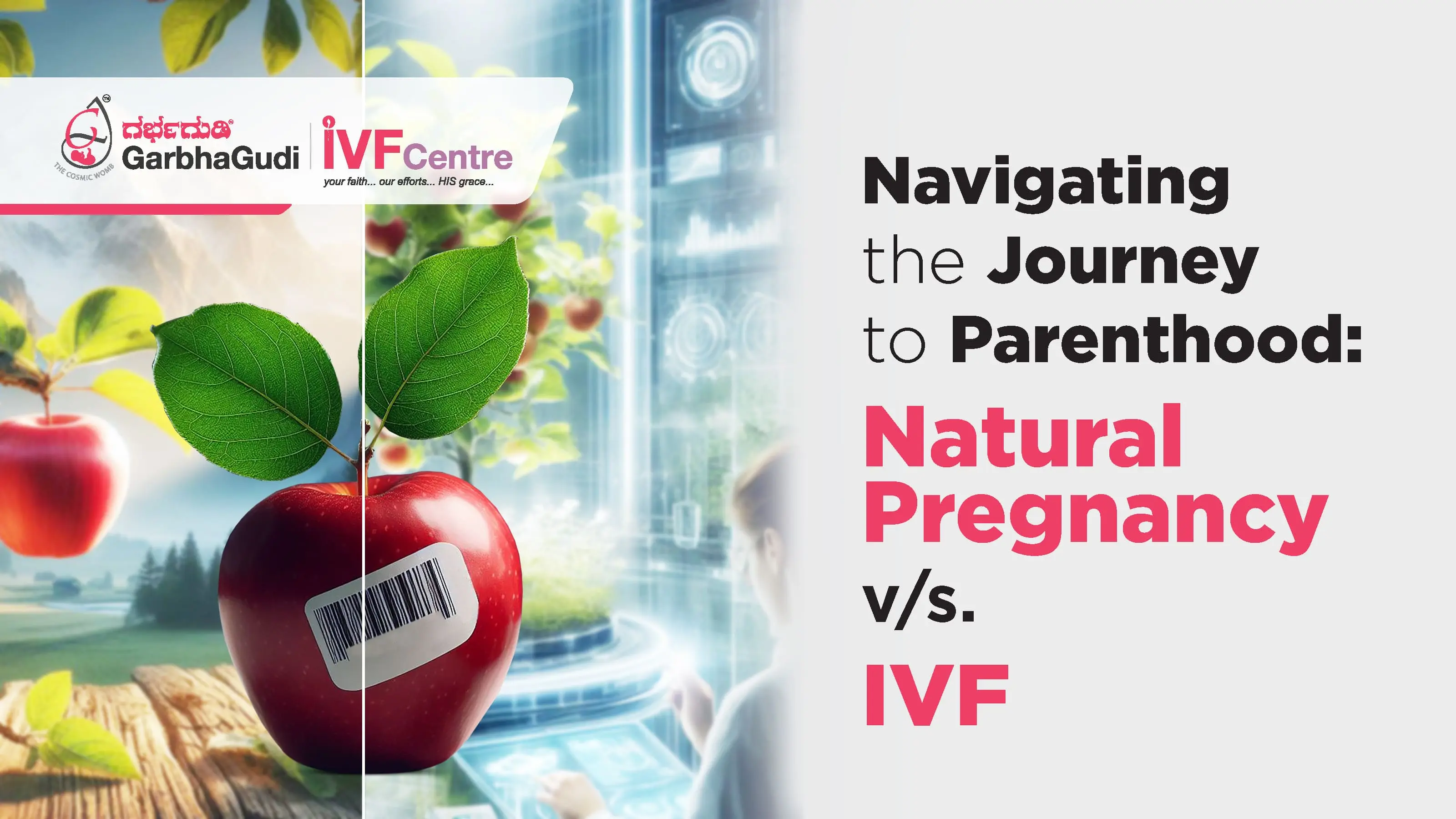 Natural Pregnancy vs IVF: Differences and Similarities
