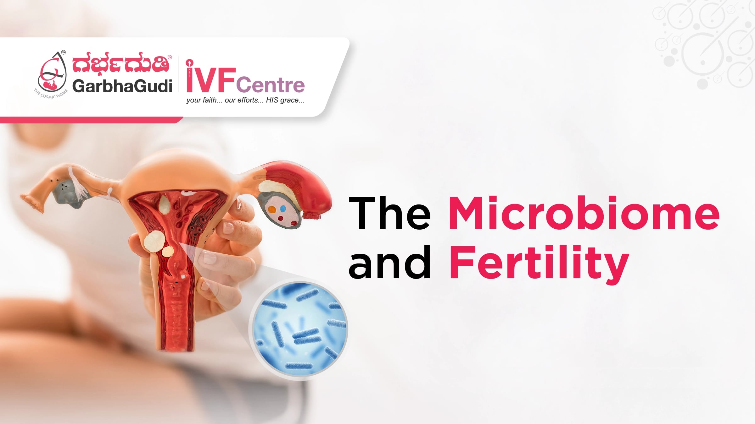 Fertility and the Microbiome: How Gut Health Influences Reproductive Outcomes