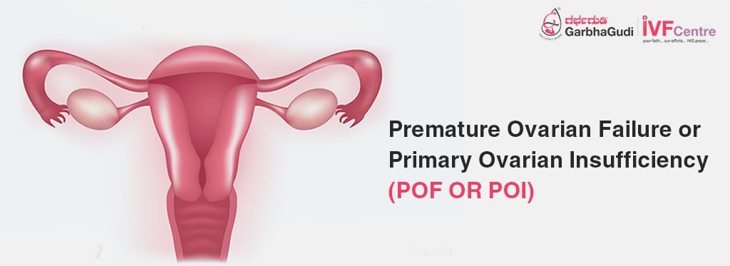 Primary Ovarian Insufficiency: Causes, Symptoms & Treatment