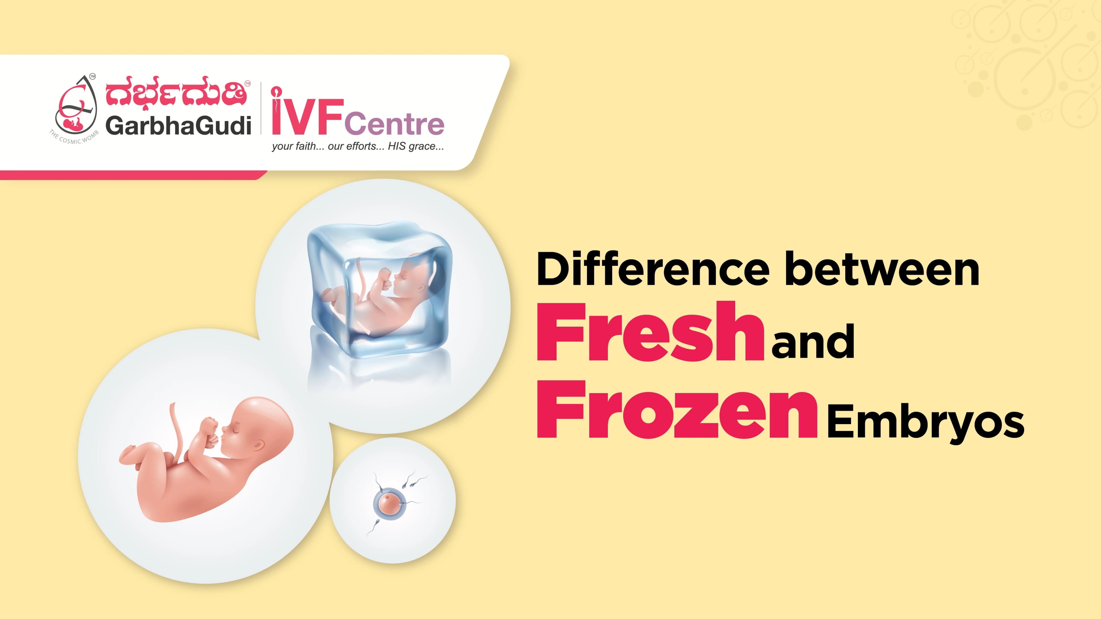 Fresh vs. Frozen Embryo Transfer: Key Differences Explained