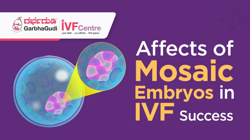 Mosaic Embryos in IVF and Their Impact on Fertility