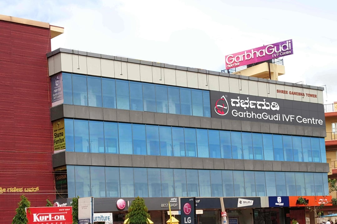 Electronic City